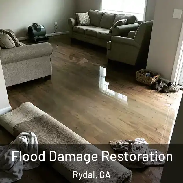  Flood Damage Restoration Rydal, GA