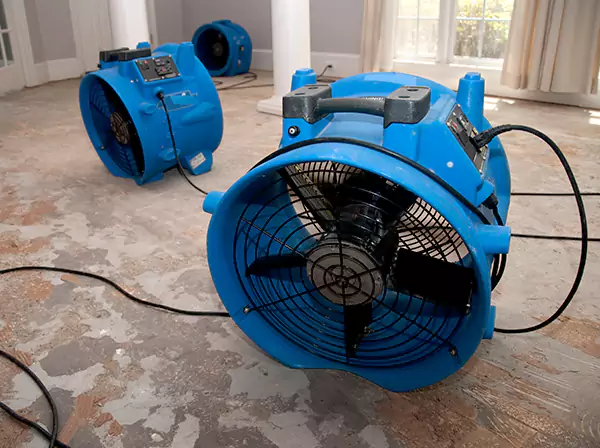 Water Damage Reconstruction in Rydal