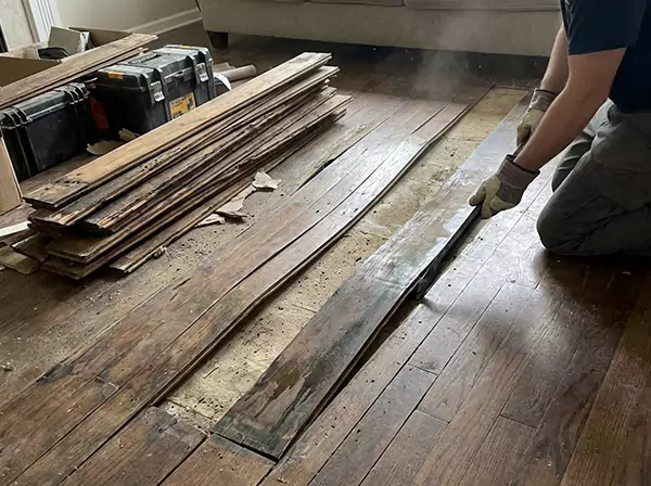 Water Damage Drying in Rydal