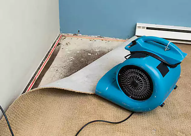 Your Water Damage Experts in Rydal, GA