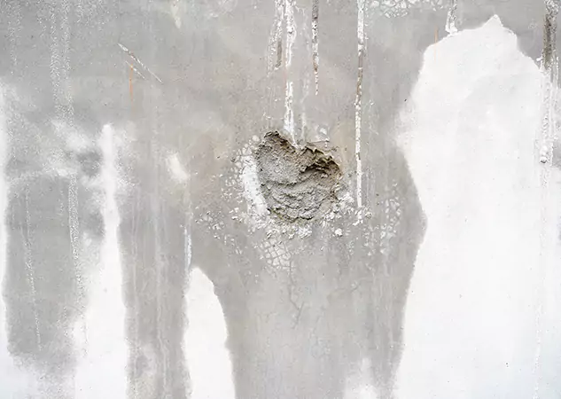 Your Mold Mitigation Solutions Partner in Rydal, GA