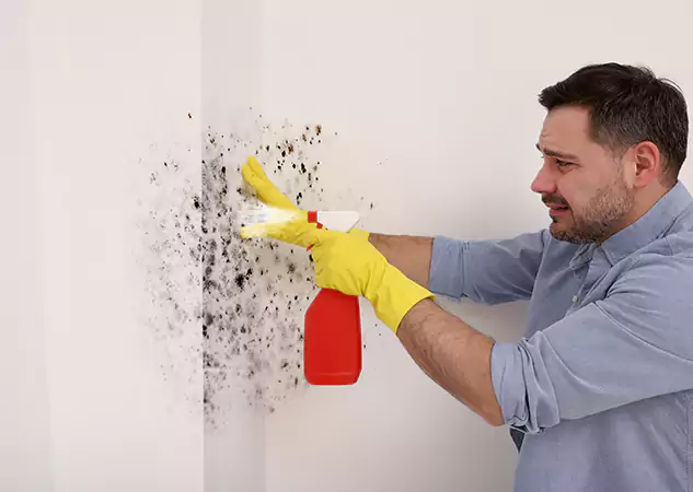 Your Water Mold Fire Restoration Partner in Rydal, GA