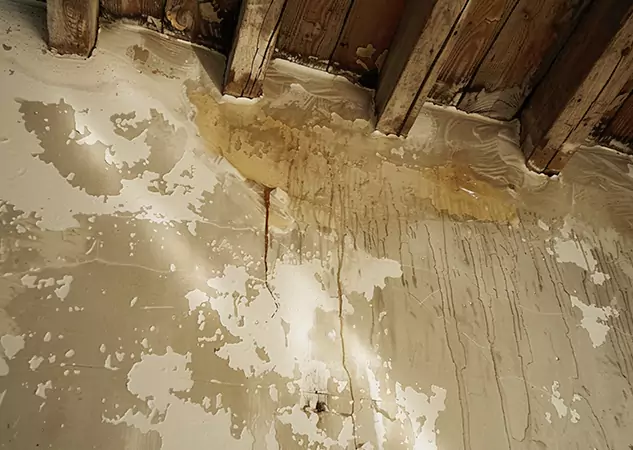 Your Trusted Restoration Company in Rydal, GA