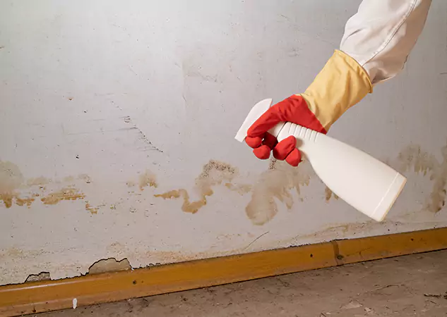 Your Water Restoration and Mold Remediation Specialists in Rydal, GA