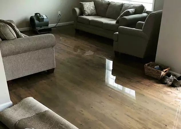 Your Trusted Restoration Company in Rydal, GA