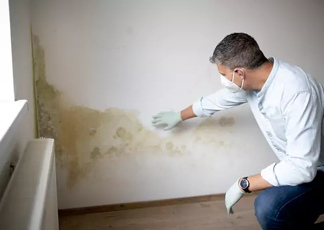 Reach Our Remediation Team Before Damage Grows in Rydal, GA!