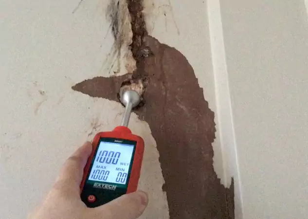 Your Water Damage Assessment Partner in Rydal, GA
