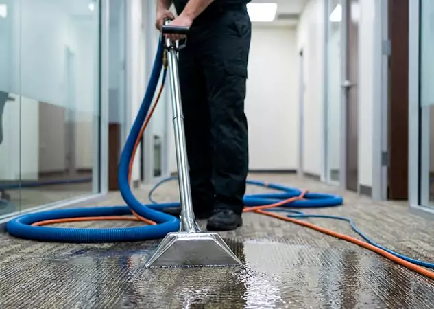 Your Water Damaged Carpet Restoration Partner in Rydal, GA