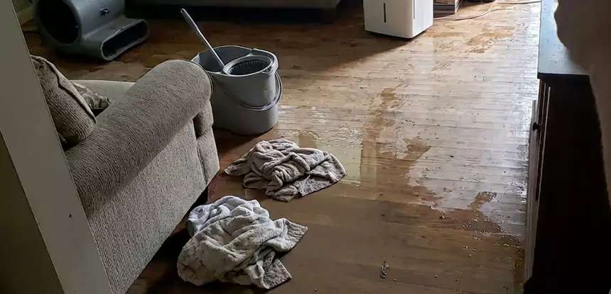 Professional Basement Water Remediation Services in Rydal, GA