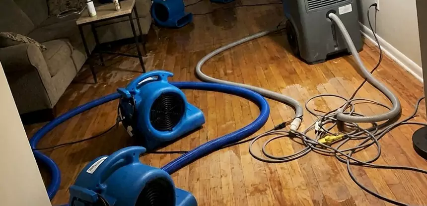 Basement Flood Restoration Services in Rydal