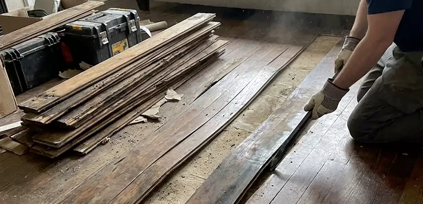 Wood Rot and Fungus Repair in Rydal