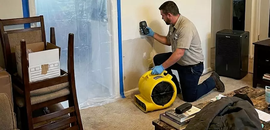 Carpet Water Damage Repair Rydal