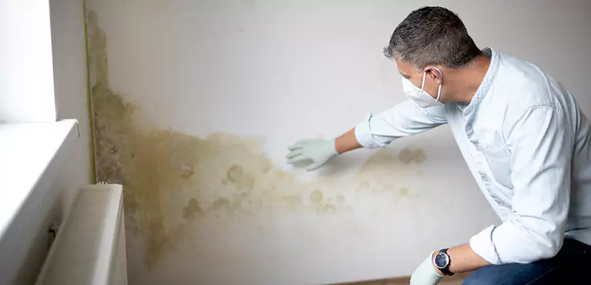 Mold and Water Damage Repair in Rydal
