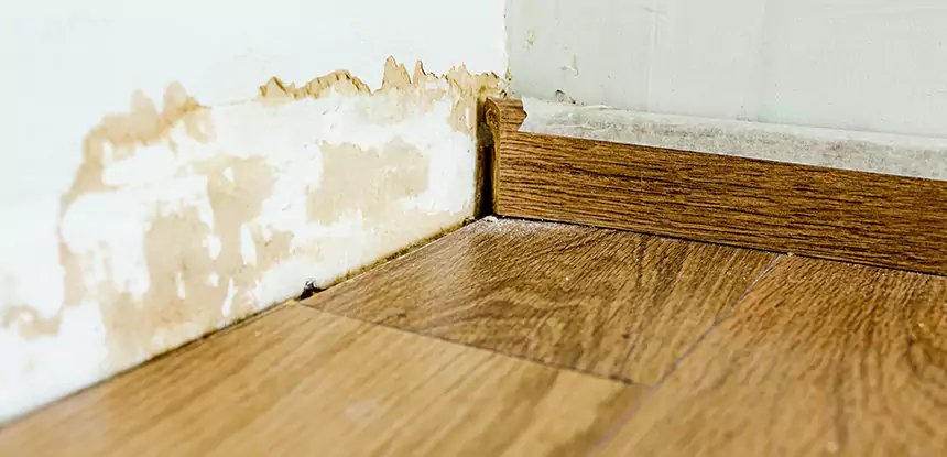Professional Fix Water Damaged Wood Services in Rydal, GA