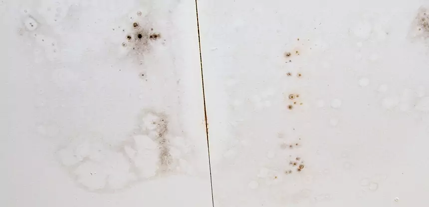 Professional Water Stain Repair Services in Rydal, GA