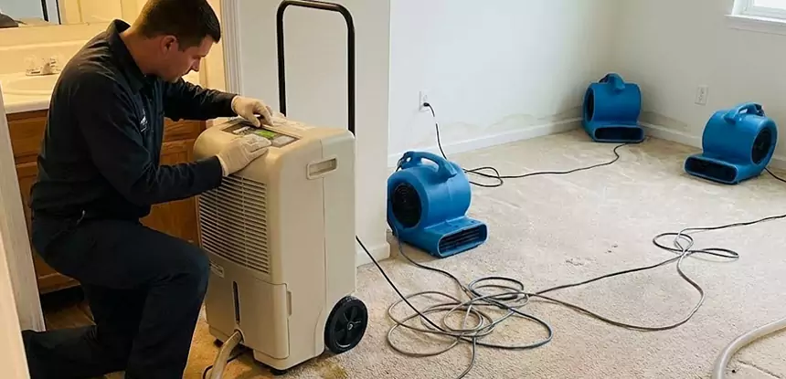 Professional Wet Carpet Removal Services in Rydal, GA