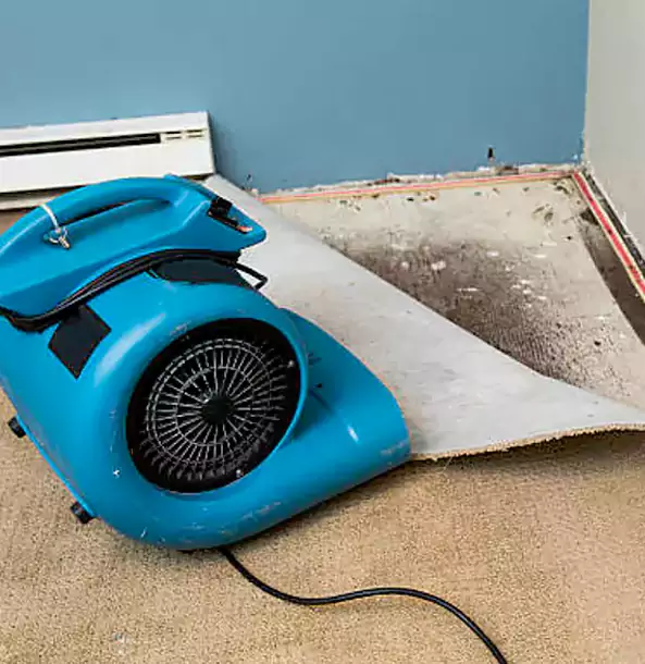 Why Rydal Trusts Rydal Restoration Pro for Carpet Flood Recovery?