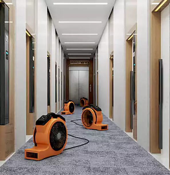 Why Rydal Trusts Rydal Restoration Pro?