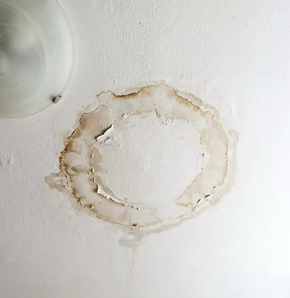 Why Rydal Property Owners Choose Rydal Restoration Pro for Ceiling Water Damage Restoration?