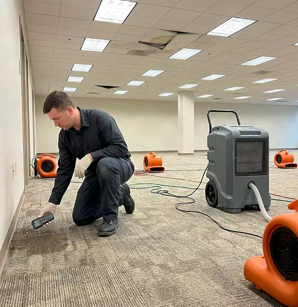 Why Rydal Businesses Choose Rydal Restoration Pro for Water Cleanup?