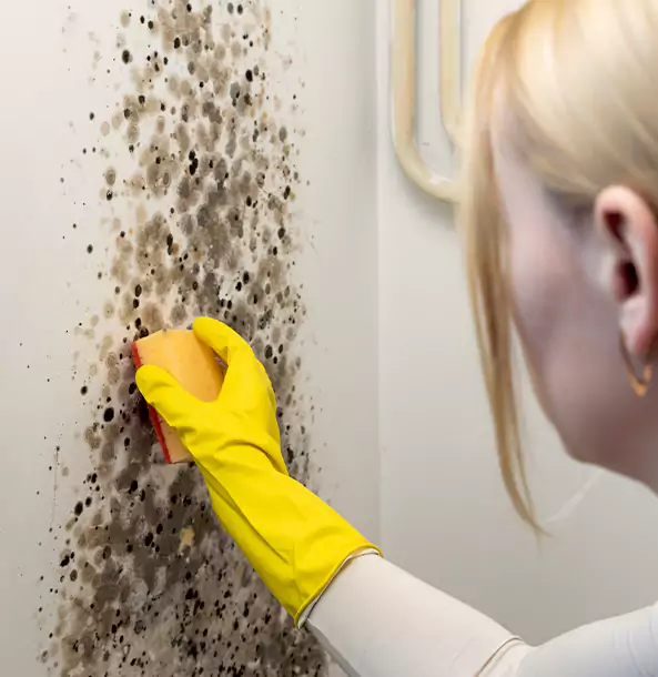 Why Rydal Restoration Pro Leads Mold Remediation in Rydal?