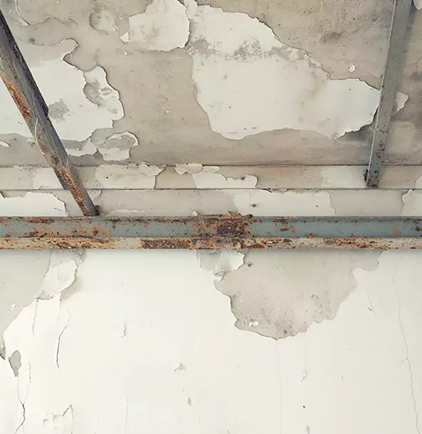 Why Rydal Restoration Pro Is the Right Choice in Rydal, GA?