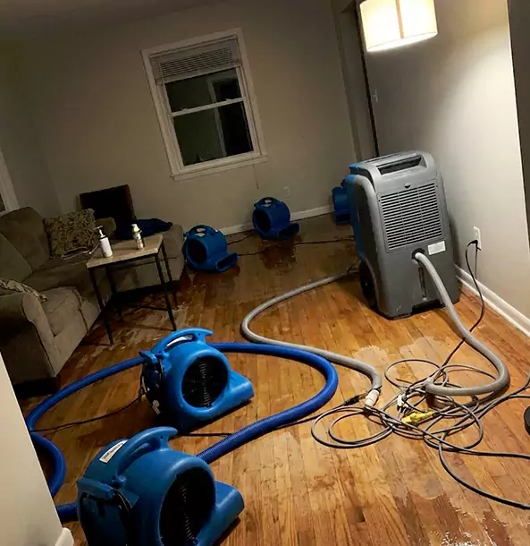 Why Rydal Property Owners Rely on Rydal Restoration Pro for Remediation?