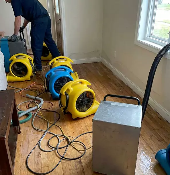 Why Rydal Property Owners Choose Rydal Restoration Pro for Remediation?
