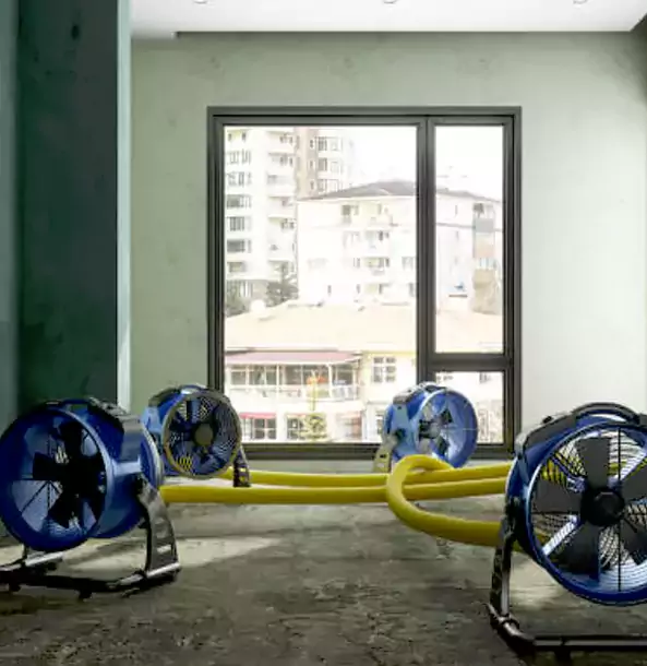 Why Rydal Property Owners Trust Rydal Restoration Pro for Water Damage Drying?