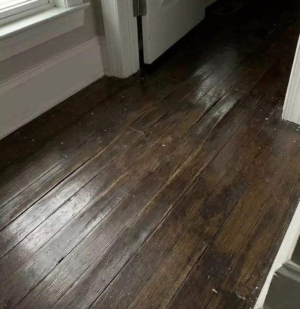 Why Rydal Homeowners Trust Rydal Restoration Pro to Fix Water Damaged Wood?