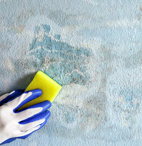 Why Rydal Restoration Pro Is the Right Choice in Rydal, GA?