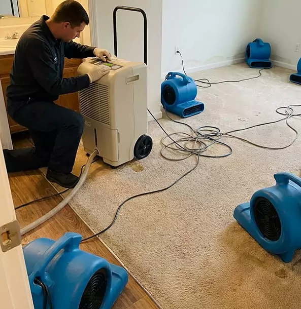 Why Rydal Homeowners and Businesses Trust Rydal Restoration Pro for Carpet Drying?