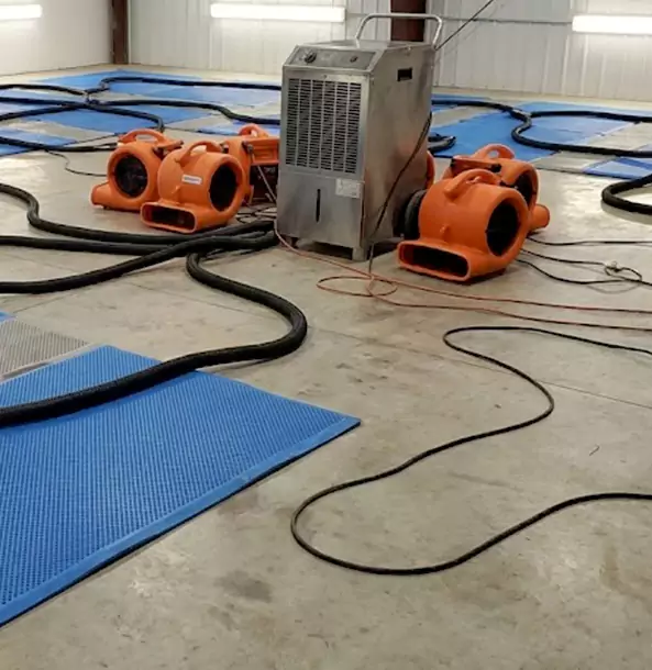 Why Rydal Homeowners and Businesses Choose Rydal Restoration Pro for Wet Carpet Removal?