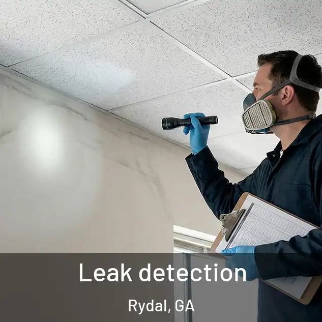  Leak detection Rydal, GA