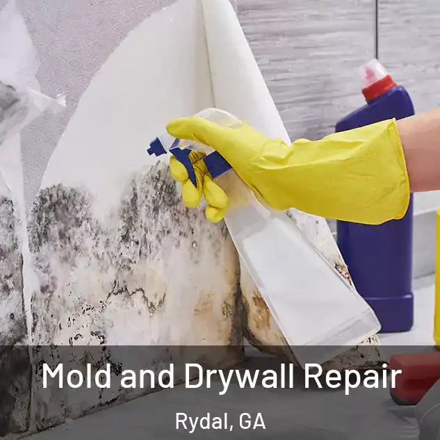  Mold and Drywall Repair Rydal, GA