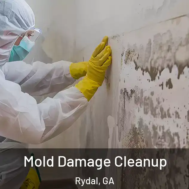  Mold Damage Cleanup Rydal, GA
