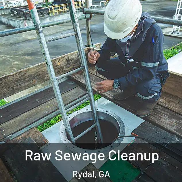  Raw Sewage Cleanup Rydal, GA