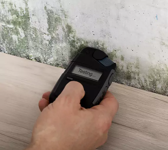 Mold Remediation Service Rydal