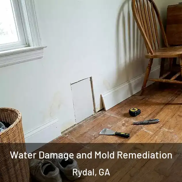  Water Damage and Mold Remediation Rydal, GA