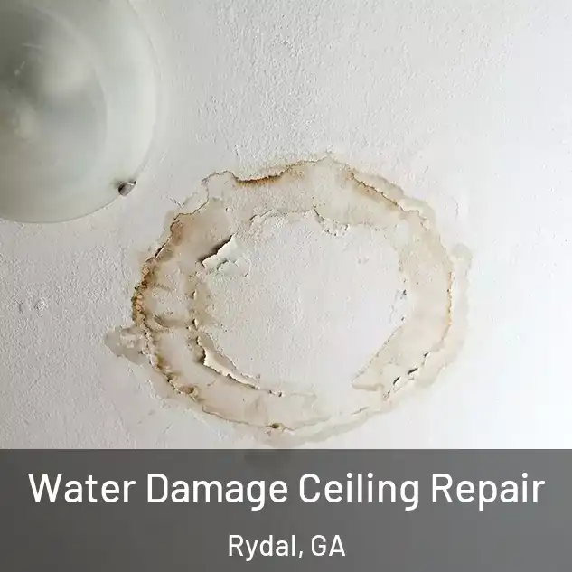  Water Damage Ceiling Repair Rydal, GA