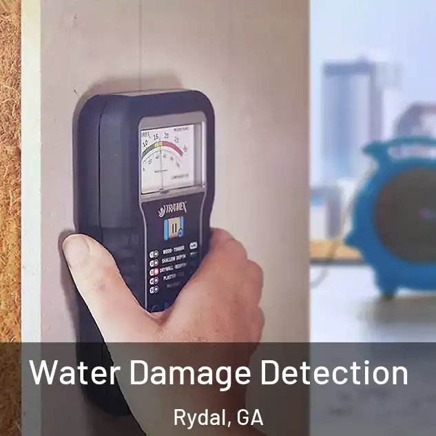  Water Damage Detection Rydal, GA