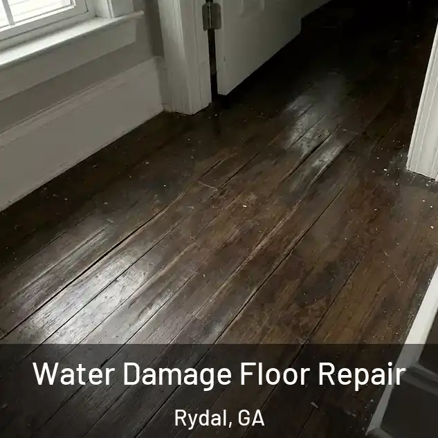  Water Damage Floor Repair Rydal, GA
