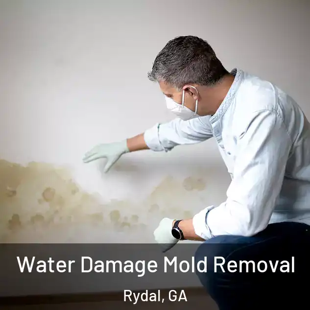  Water Damage Mold Removal Rydal, GA