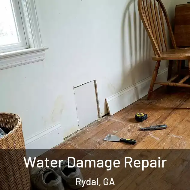  Water Damage Repair Rydal, GA