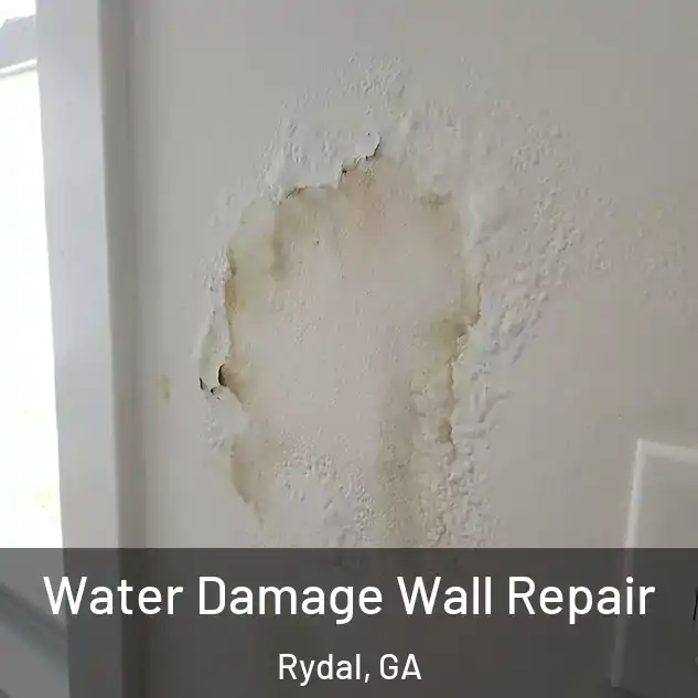  Water Damage Wall Repair Rydal, GA