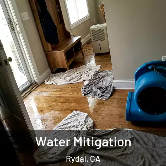  Water Mitigation Rydal, GA