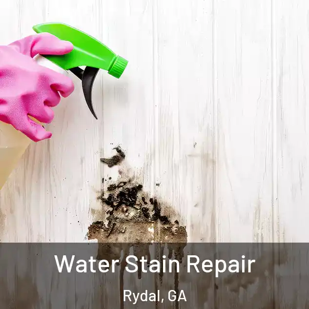  Water Stain Repair Rydal, GA