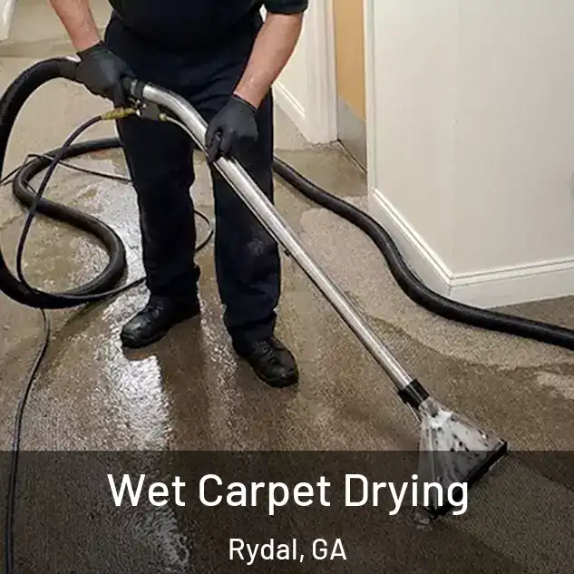  Wet Carpet Drying Rydal, GA